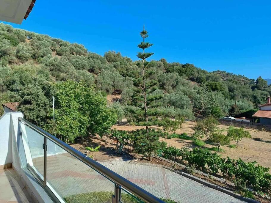 Ολόκληρος Όροφος Αγροτική Οικία Neos Pirgos Exterior foto