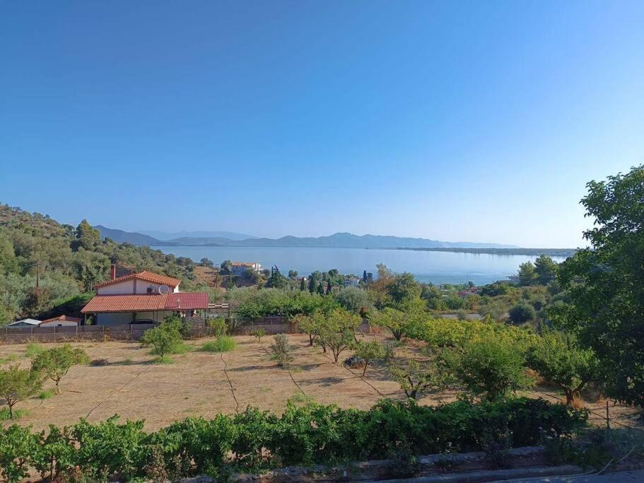 Ολόκληρος Όροφος Αγροτική Οικία Neos Pirgos Exterior foto