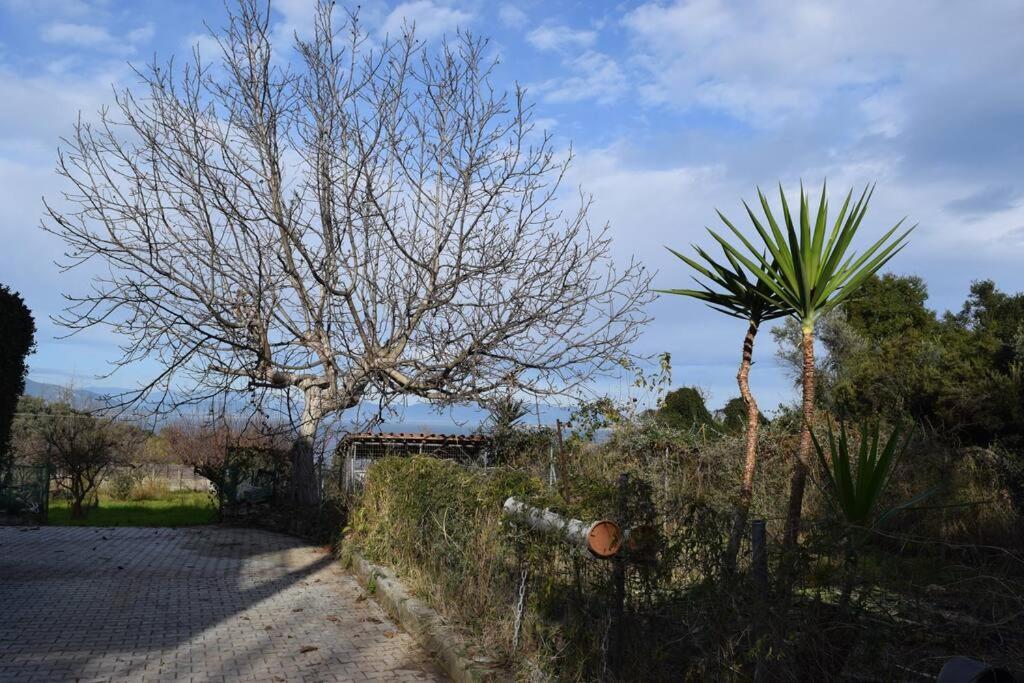 Ολόκληρος Όροφος Αγροτική Οικία Neos Pirgos Exterior foto