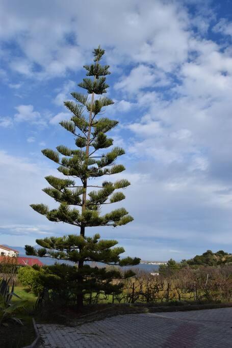 Ολόκληρος Όροφος Αγροτική Οικία Neos Pirgos Exterior foto