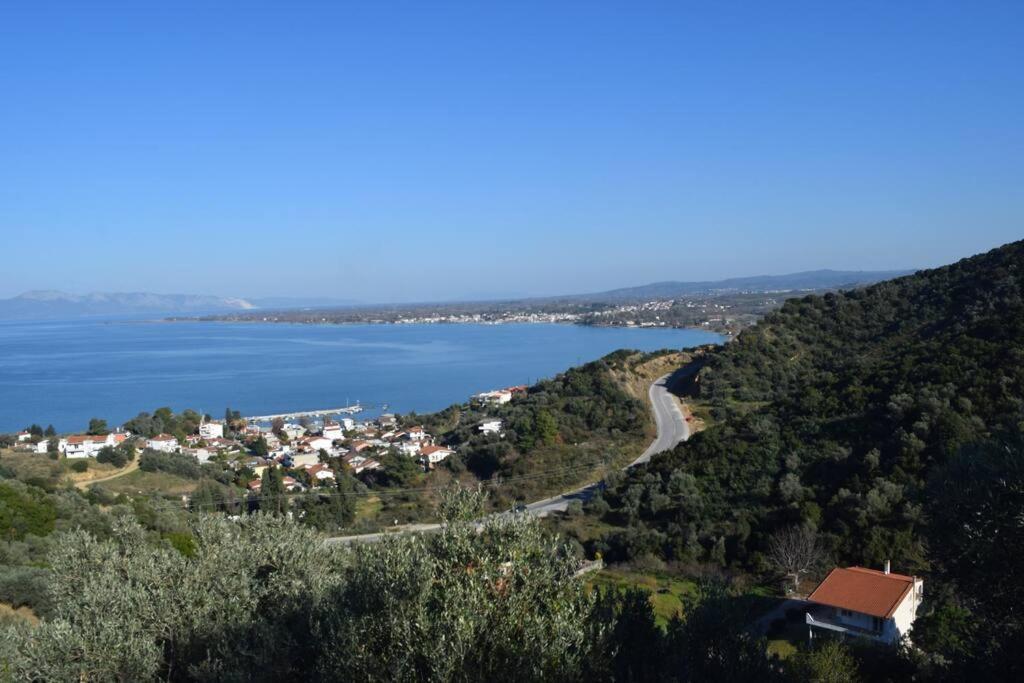 Ολόκληρος Όροφος Αγροτική Οικία Neos Pirgos Exterior foto