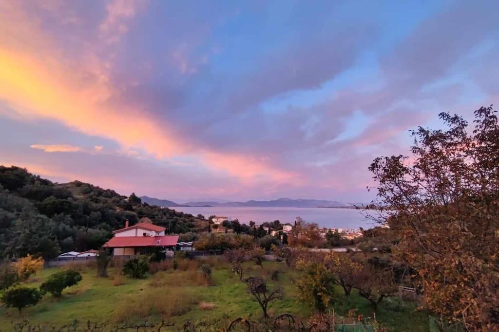 Ολόκληρος Όροφος Αγροτική Οικία Neos Pirgos Exterior foto